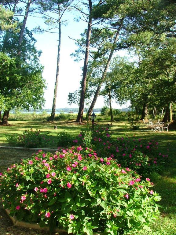 Villa De L'Etang Blanc Seignosse Eksteriør billede