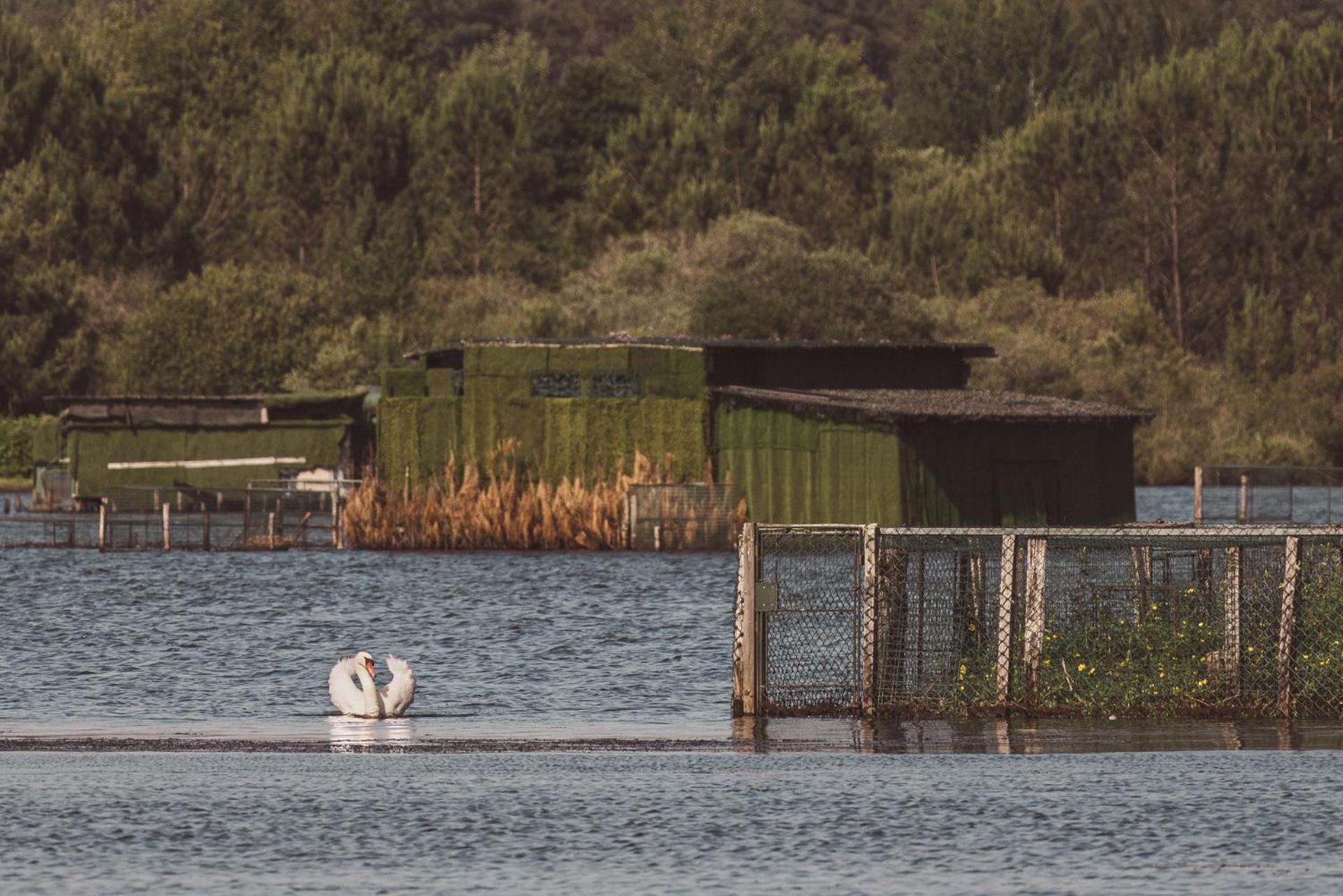 Villa De L'Etang Blanc Seignosse Eksteriør billede