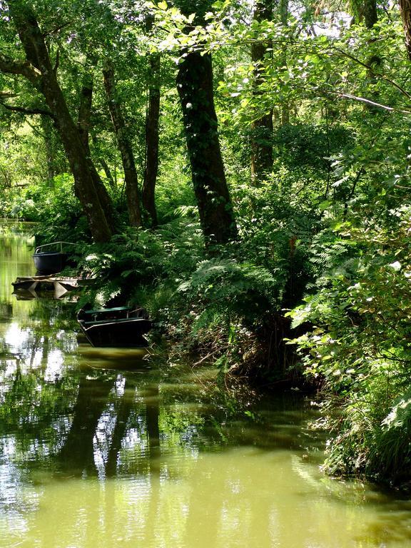 Villa De L'Etang Blanc Seignosse Eksteriør billede